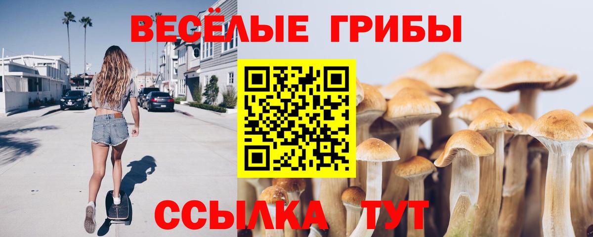 Псилоцибиновые грибы Magic Shrooms Славгород